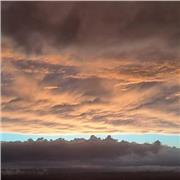 Laureata in Lettere Storia dell' arte Offre ripetizioni di italiano, e materie umanistiche.. Crea motivazione e fiducia nello studente